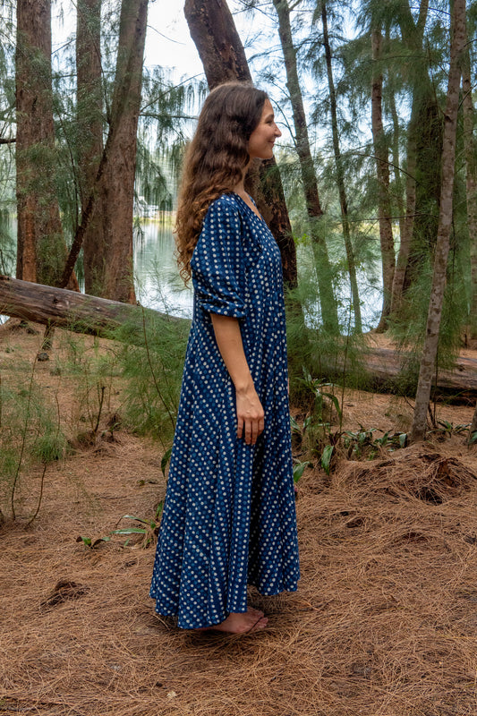 Leela Maxi Dress in Blueberry